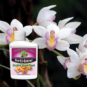18021_HH Orchid 8 oz  lifestyle image